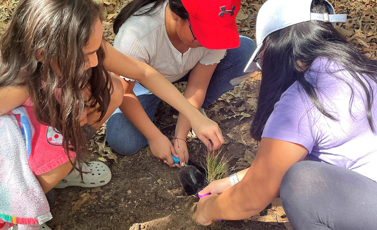 Three people kneeling on the ground, planting a small plant together. They are surrounded by dry leaves and soil.