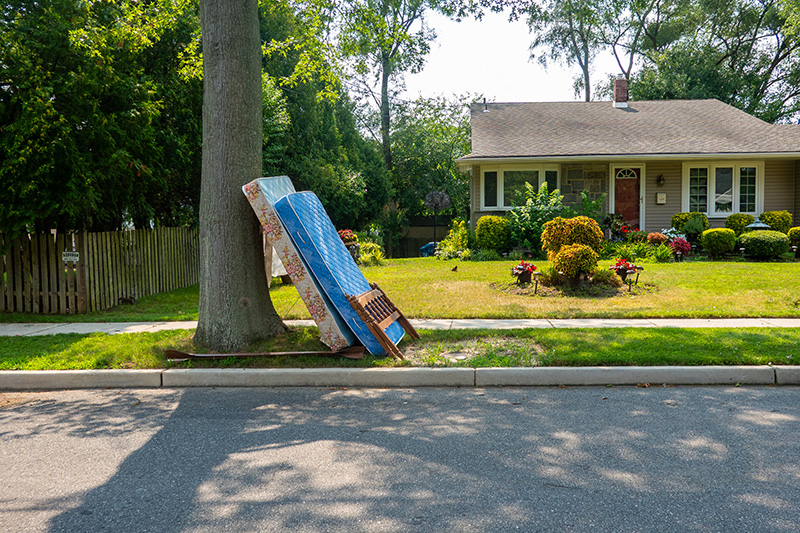 Two mattresses and a bed frame leaning against a tree on the curb in front of a suburban house with a landscaped front yard.