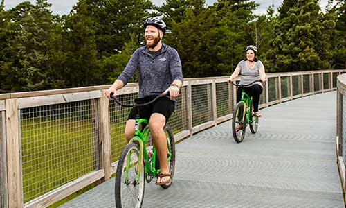 people on bikes in the park