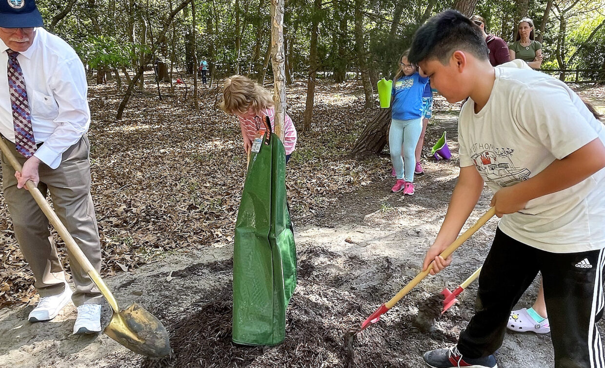 people planting trees on arbor day