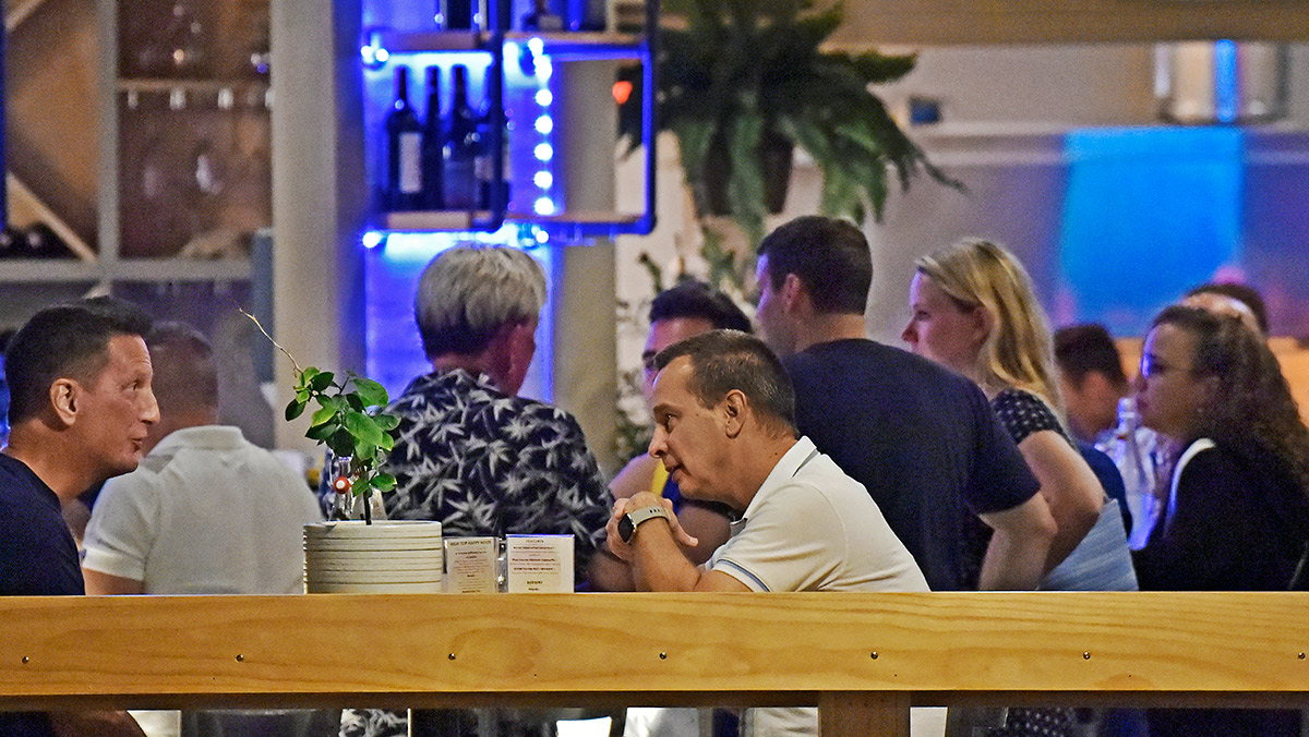 People socializing and conversing around a bar counter with shelves of bottles and a small plant on the counter.