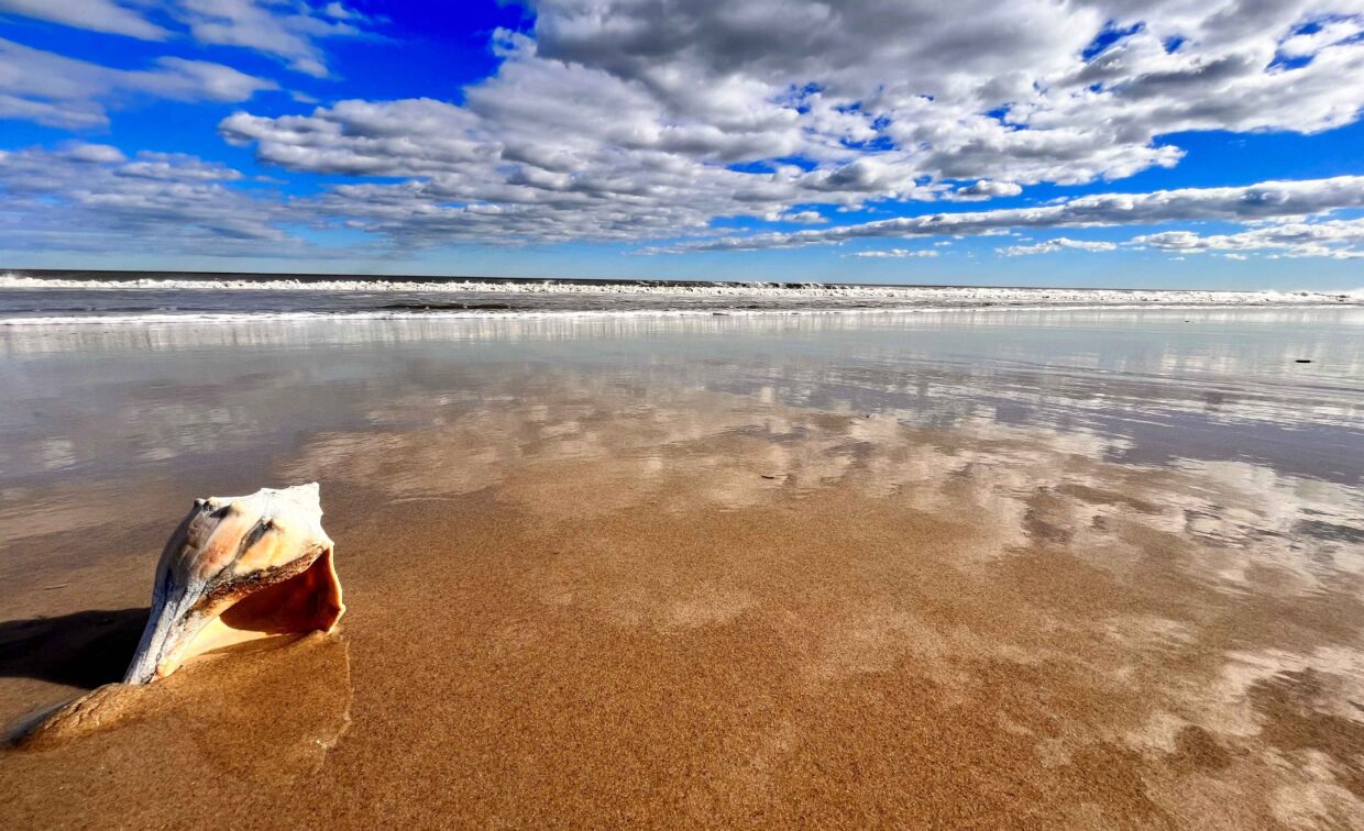 A 2020 Rehoboth Reflections-winning photo of clouds being reflected in the surf with a shell in the foreground