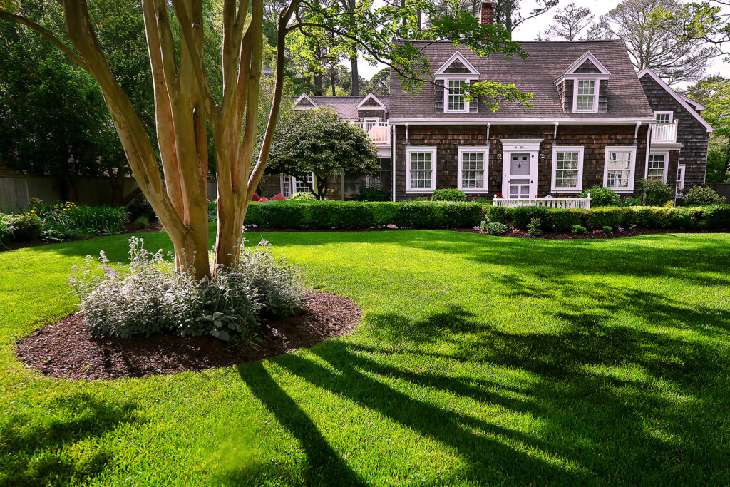 frontyard of a residential home.